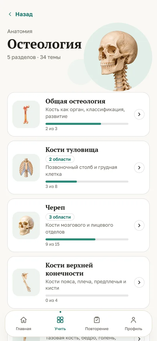 Остеология: разделы главы с прогрессом изучения
