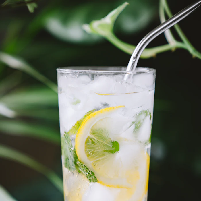 Стакан лимонада с лимоном и мятой